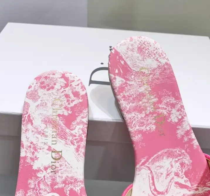 hype Christian Dior Slippers