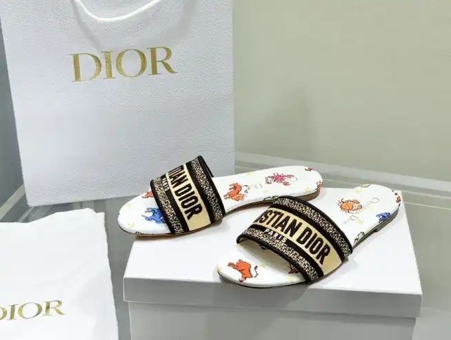 hype Christian Dior Slippers