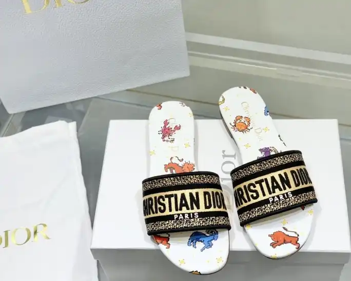 hype Christian Dior Slippers