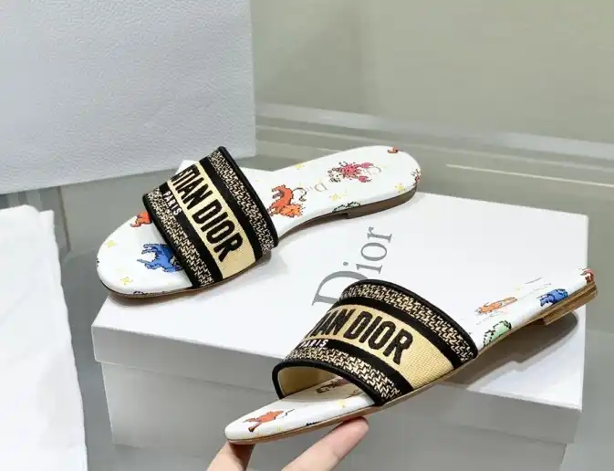 hype Christian Dior Slippers