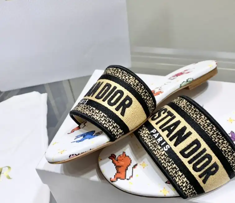 hype Christian Dior Slippers