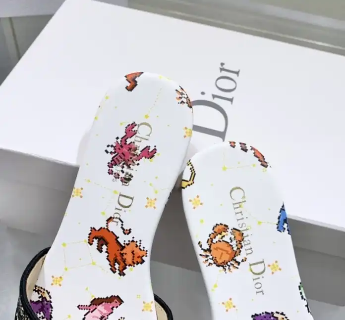 hype Christian Dior Slippers