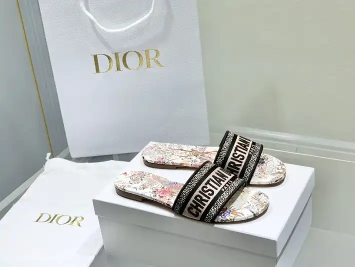 hype Christian Dior Slippers