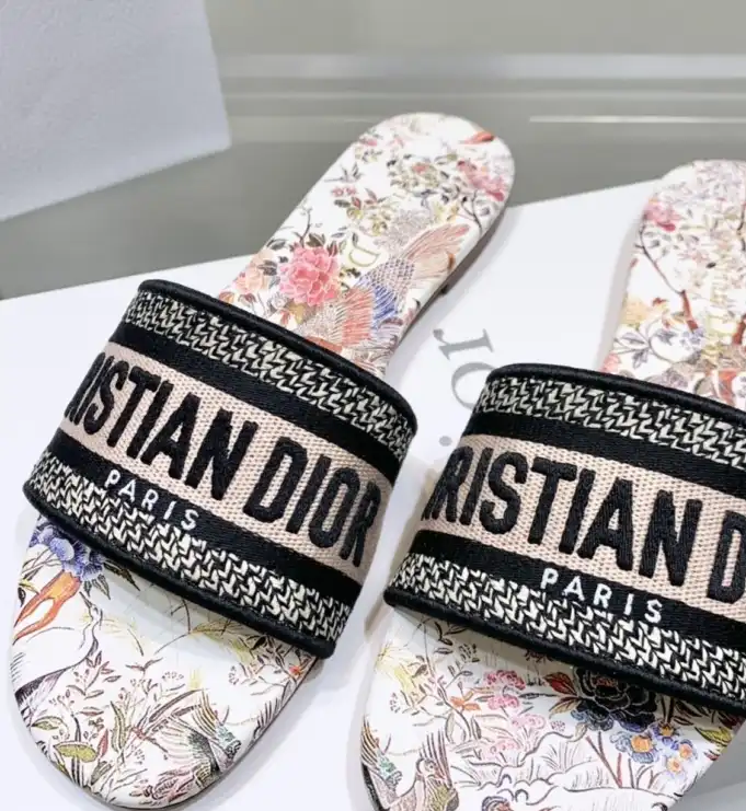 hype Christian Dior Slippers