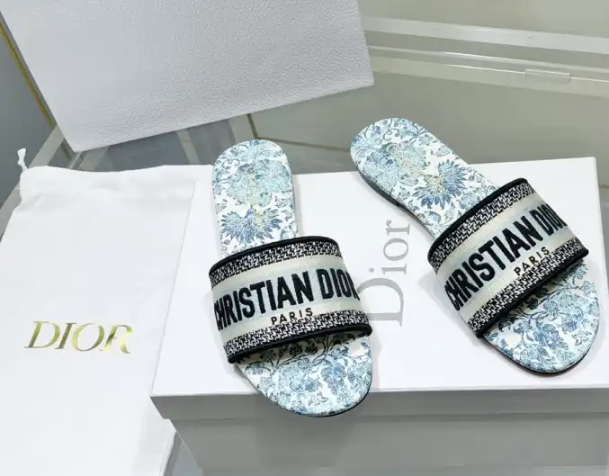 hype Christian Dior Slippers