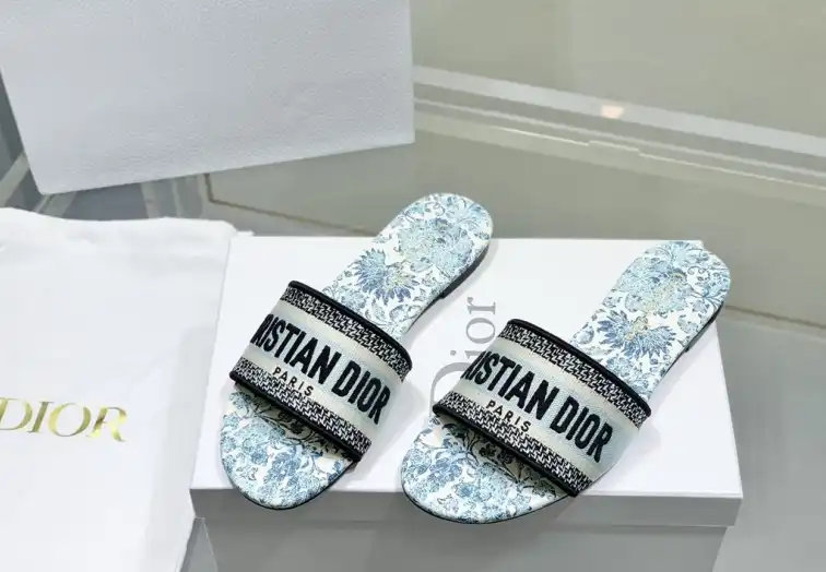 hype Christian Dior Slippers