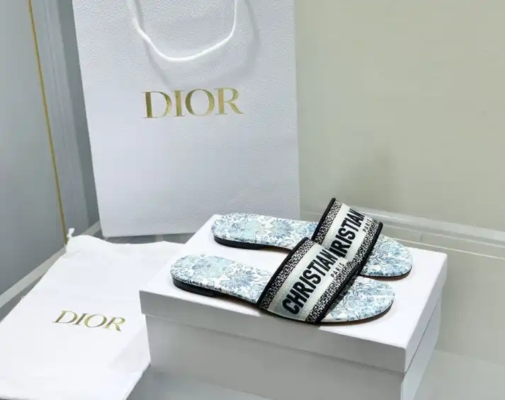 hype Christian Dior Slippers