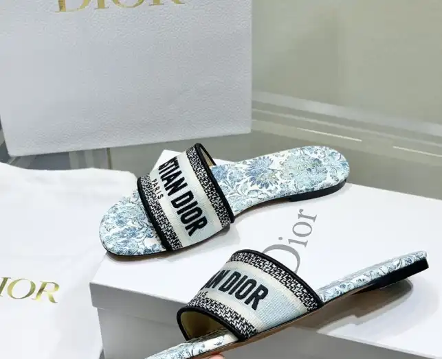 hype Christian Dior Slippers