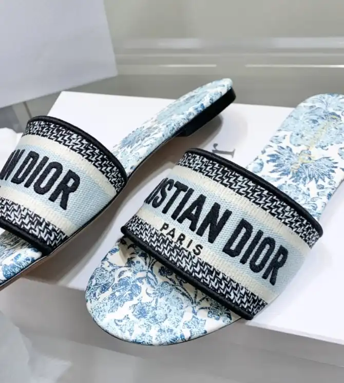 hype Christian Dior Slippers