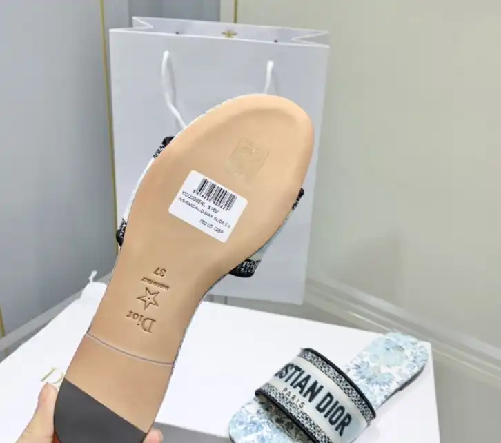 hype Christian Dior Slippers