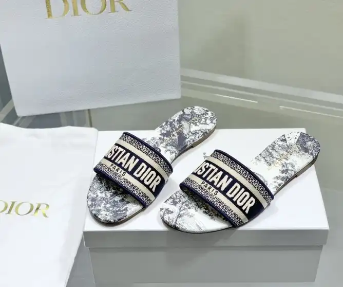 hype Christian Dior Slippers