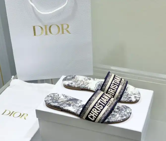 hype Christian Dior Slippers