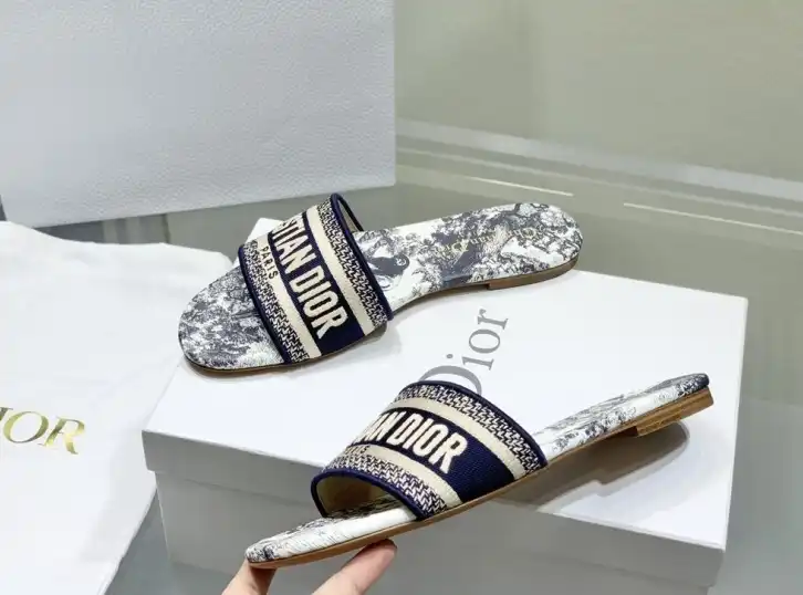 hype Christian Dior Slippers