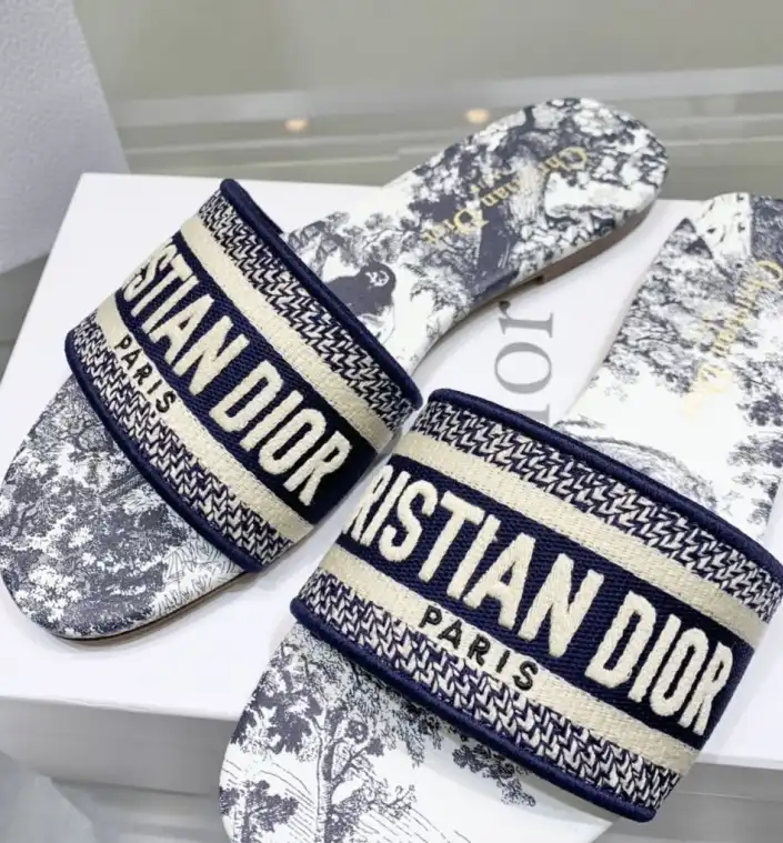 hype Christian Dior Slippers