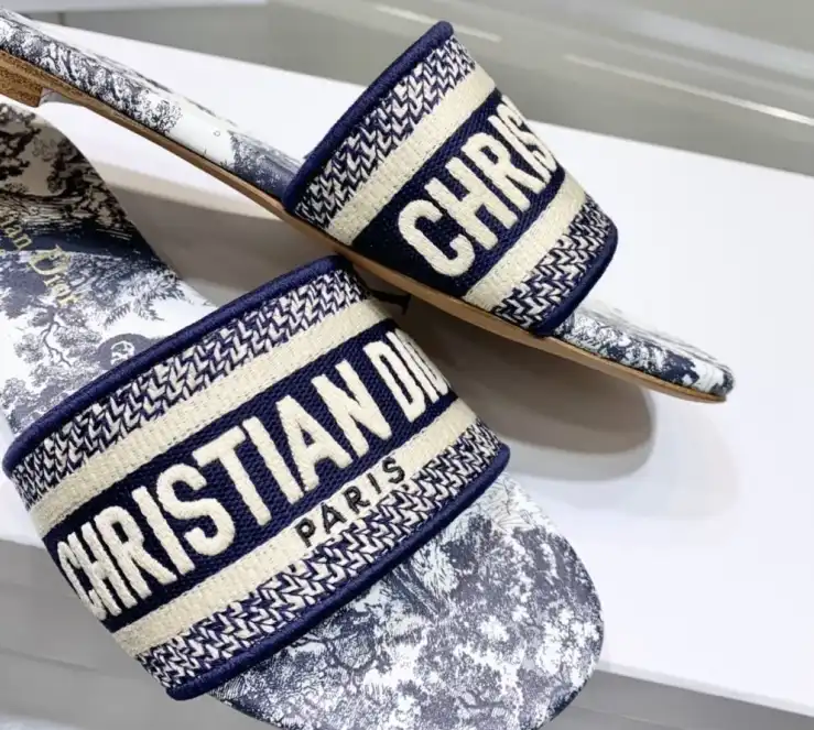 hype Christian Dior Slippers