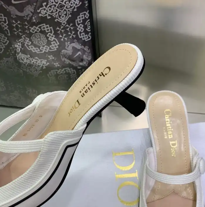 hype Christian Dior Slippers