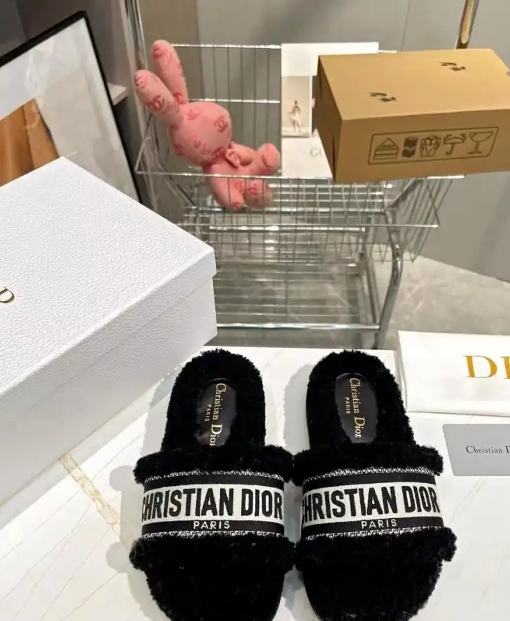 hype Christian Dior Slippers