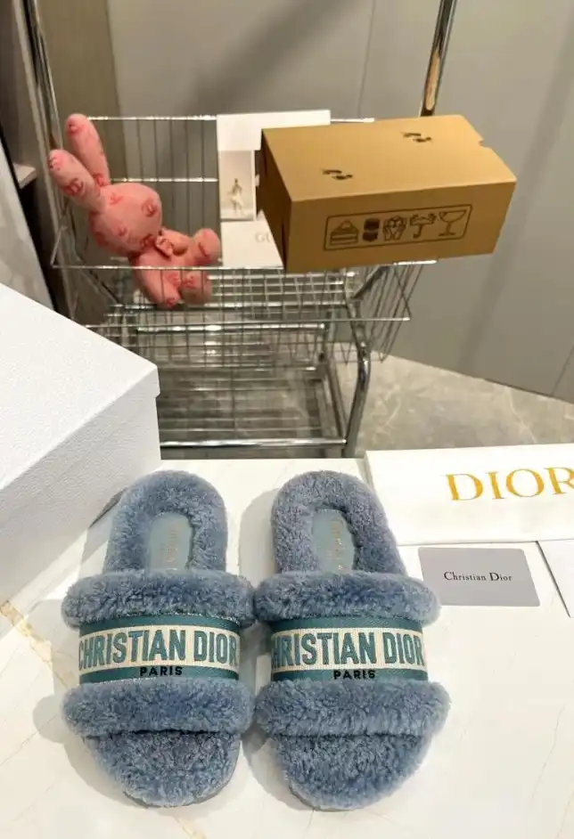 hype Christian Dior Slippers