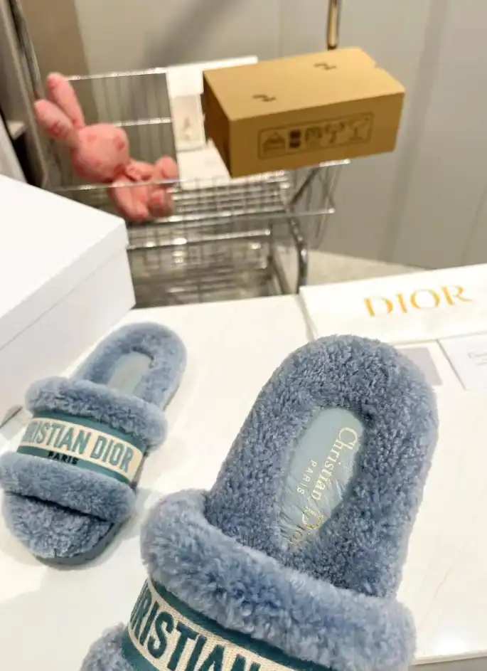 hype Christian Dior Slippers