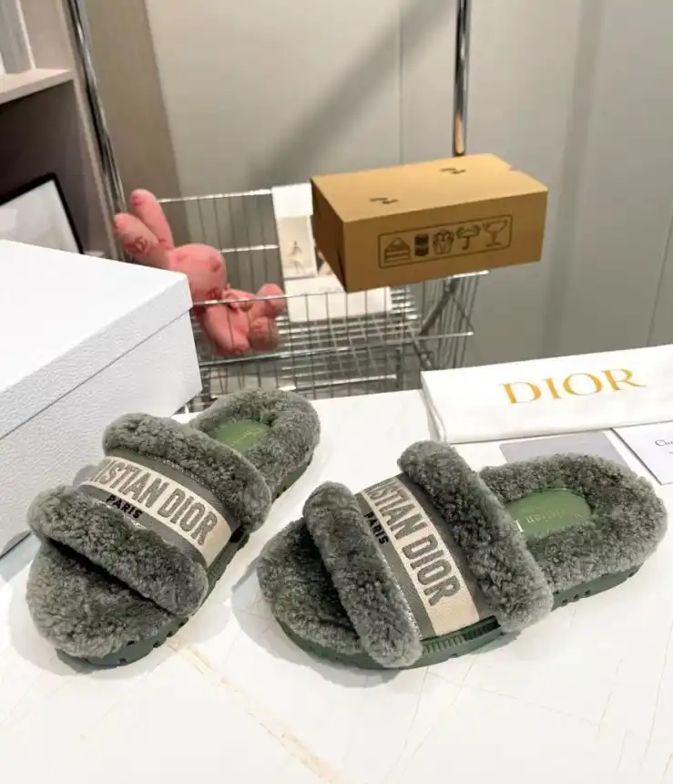 hype Christian Dior Slippers