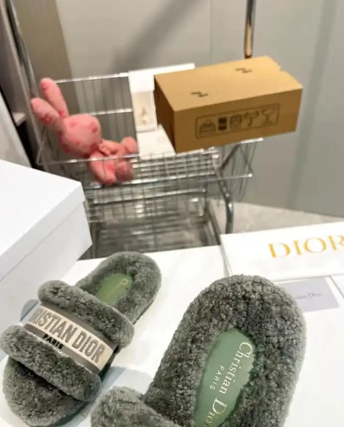 hype Christian Dior Slippers