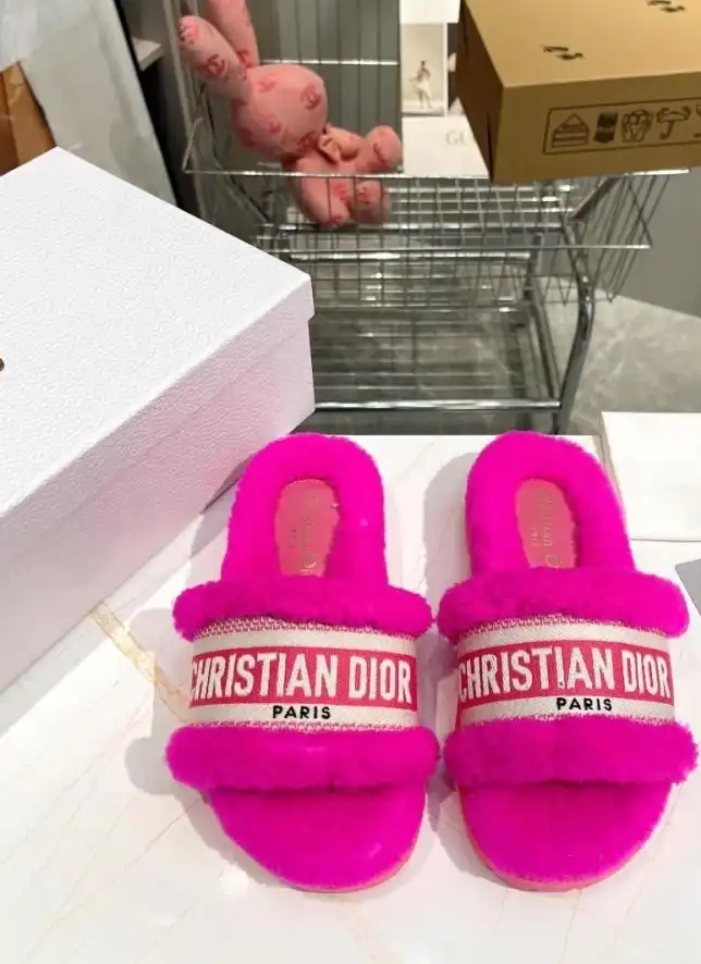 hype Christian Dior Slippers