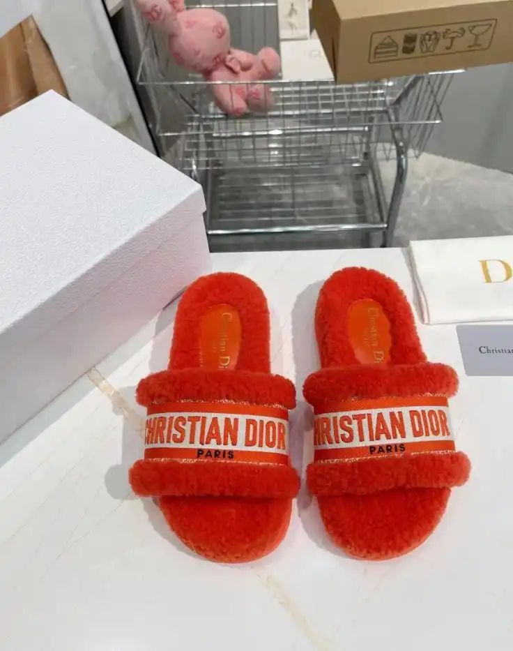 hype Christian Dior Slippers