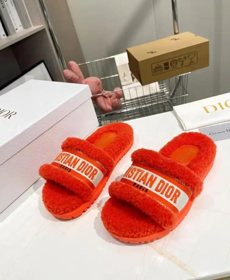 hype Christian Dior Slippers