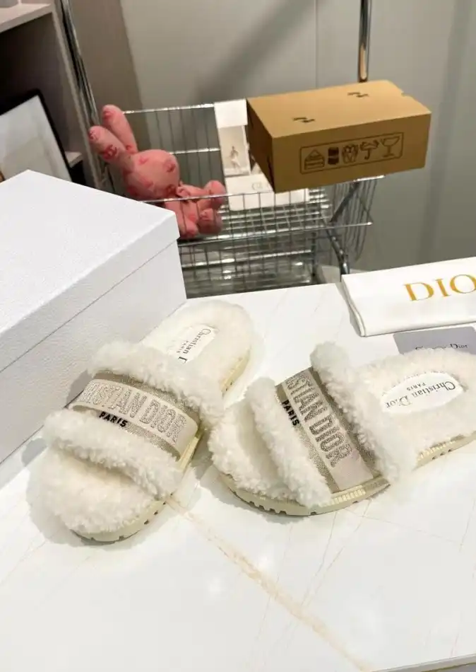 hype Christian Dior Slippers