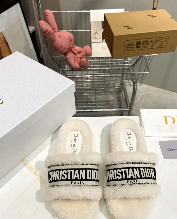 hype Christian Dior Slippers