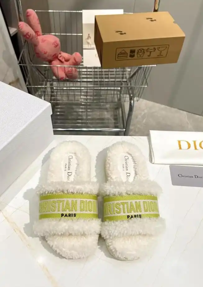 hype Christian Dior Slippers