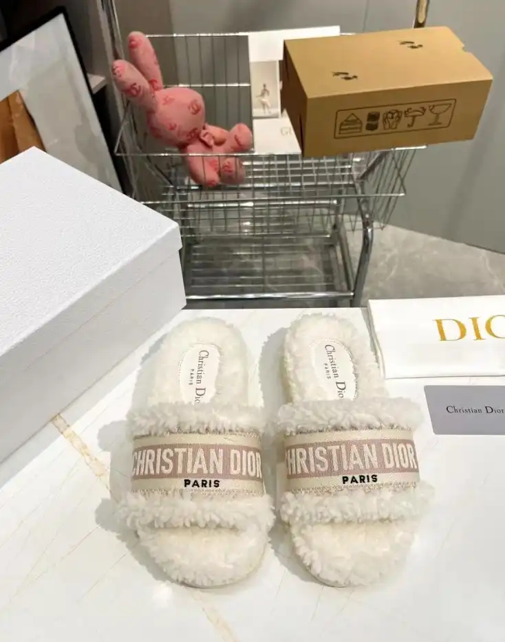 hype Christian Dior Slippers