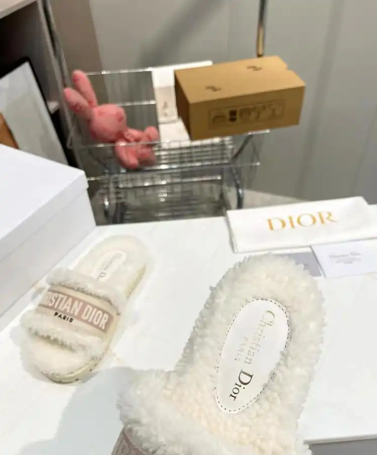 hype Christian Dior Slippers