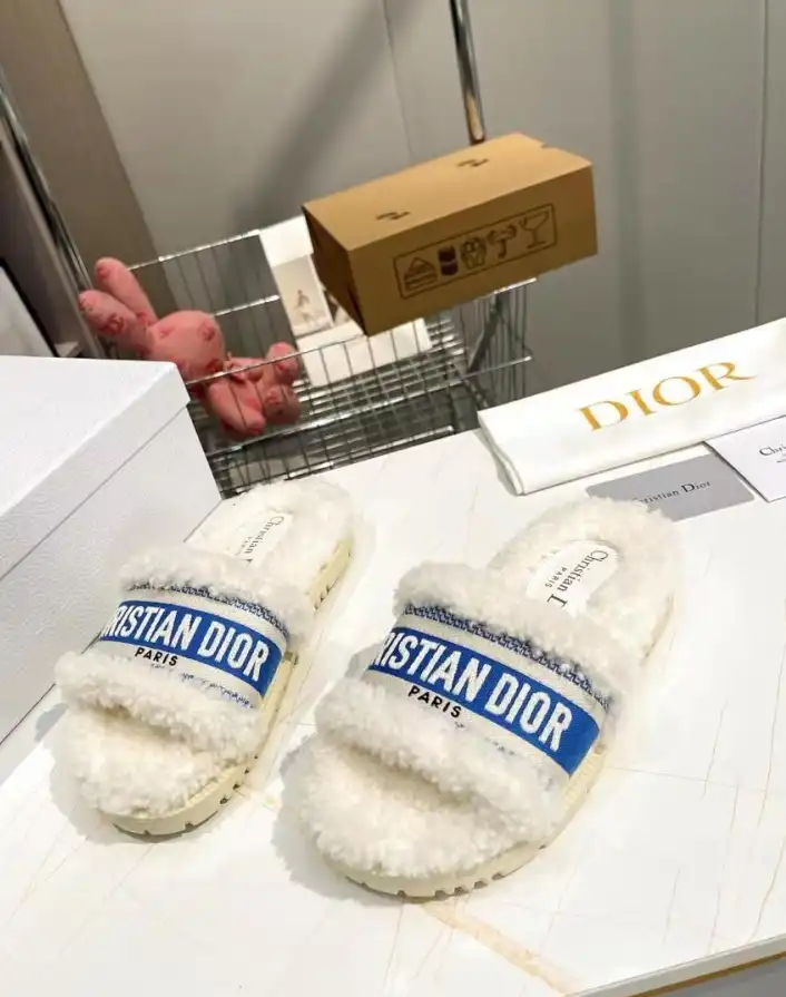 hype Christian Dior Slippers