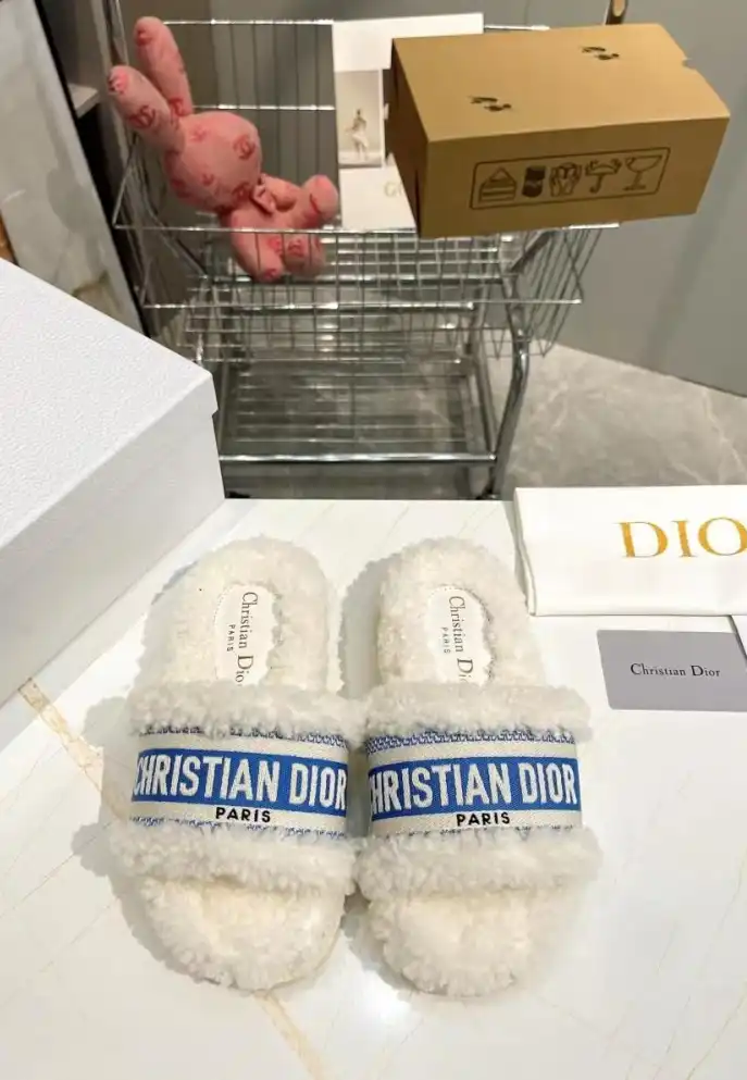 hype Christian Dior Slippers