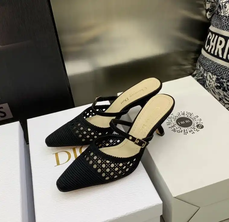 hype Christian Dior Slippers