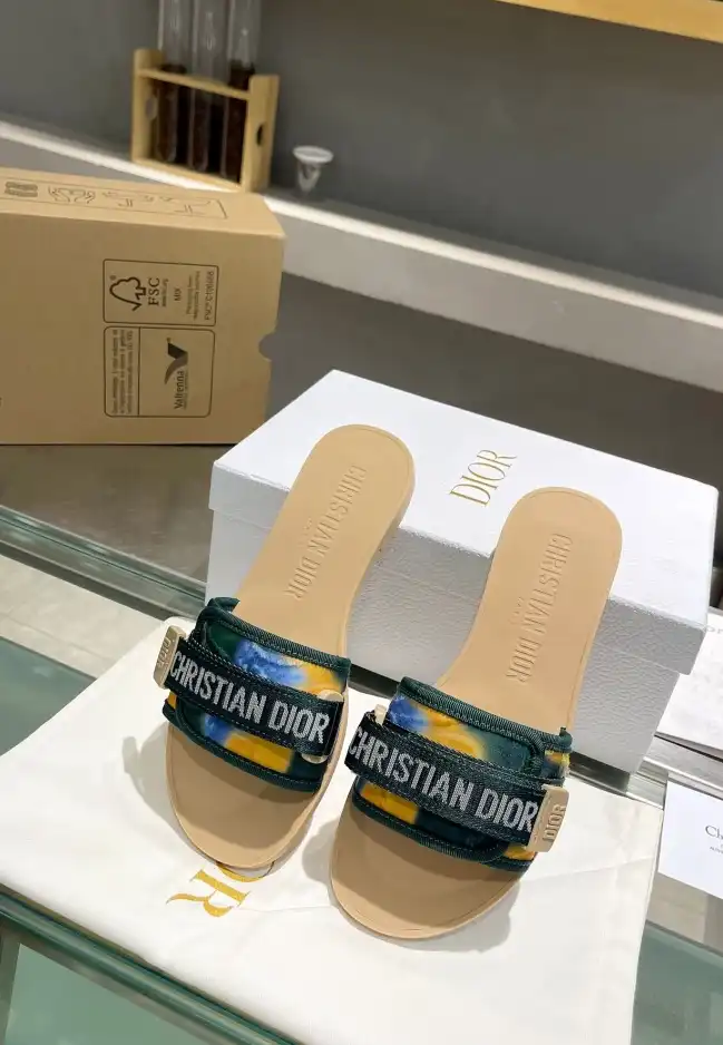 hype Christian Dior Slippers