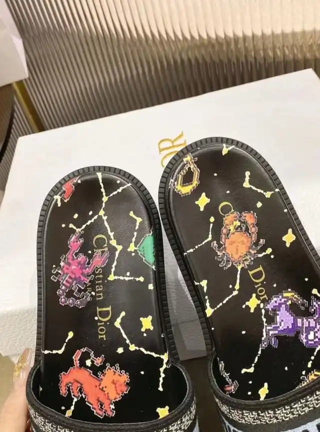 hype Christian Dior Slippers