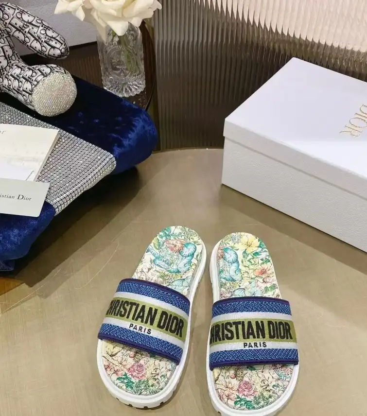 hype Christian Dior Slippers