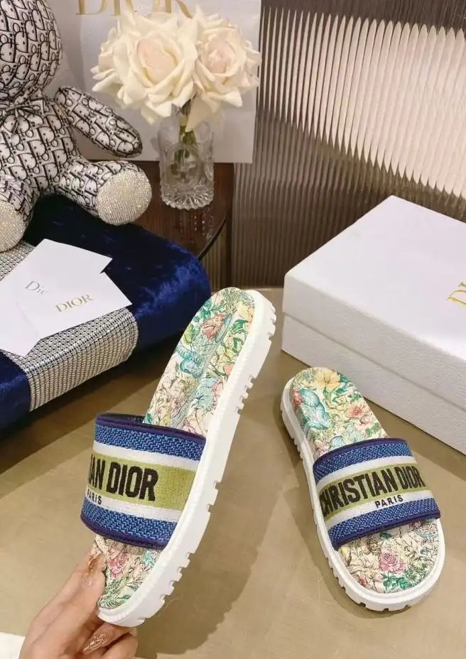 hype Christian Dior Slippers