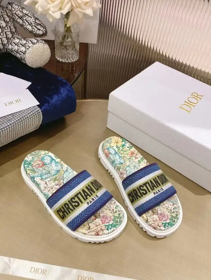 hype Christian Dior Slippers