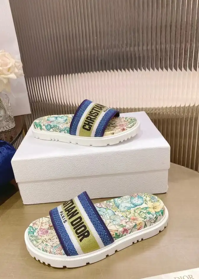 hype Christian Dior Slippers