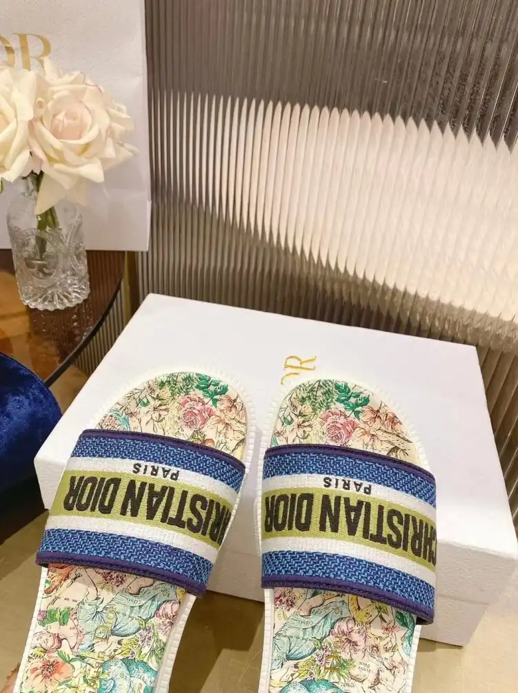 hype Christian Dior Slippers