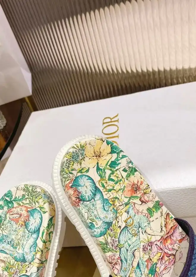 hype Christian Dior Slippers