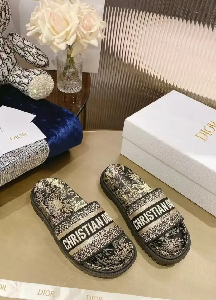 hype Christian Dior Slippers