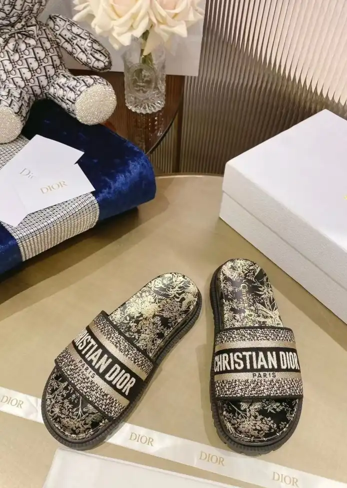 hype Christian Dior Slippers