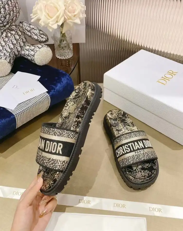 hype Christian Dior Slippers