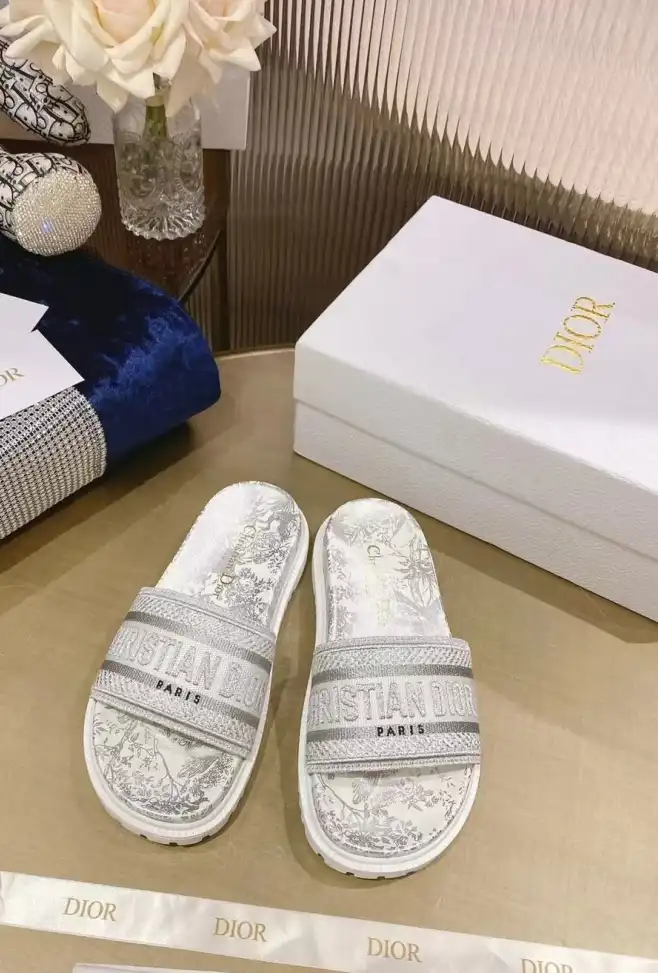 hype Christian Dior Slippers