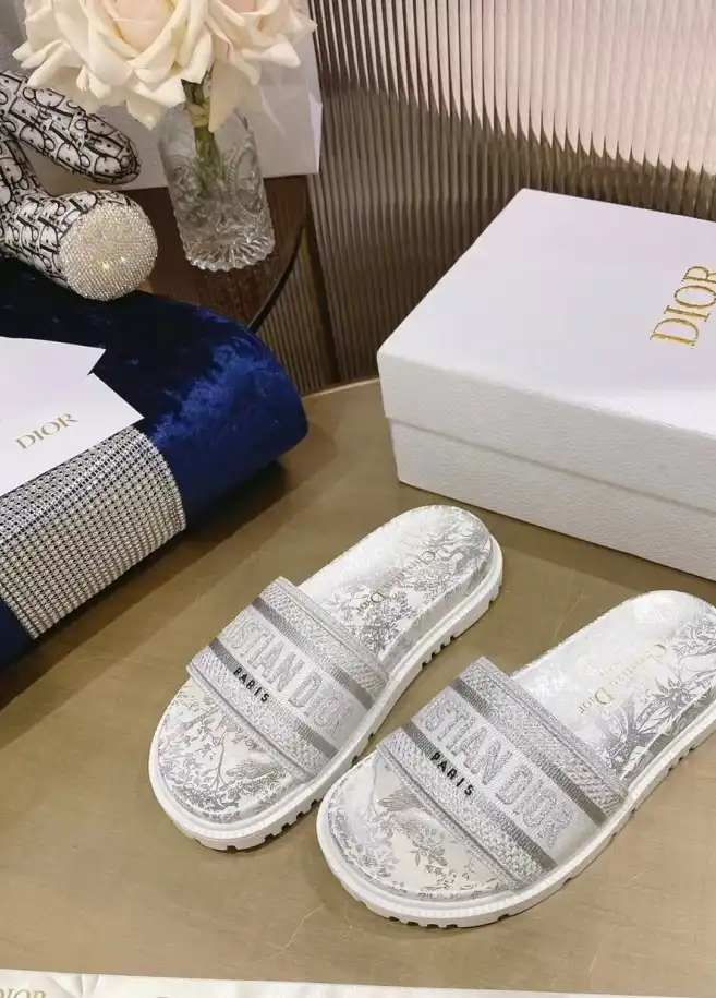 hype Christian Dior Slippers