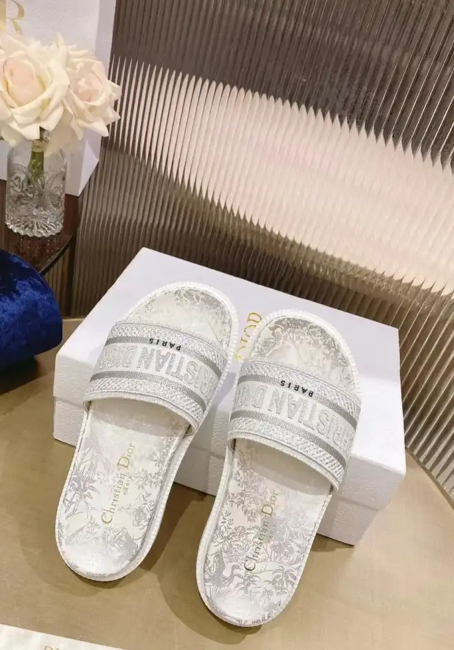 hype Christian Dior Slippers